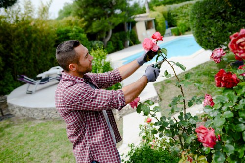 Professional gardener trimming a hedge in Acton garden