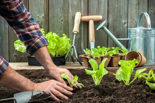 Professional landscape gardeners at work