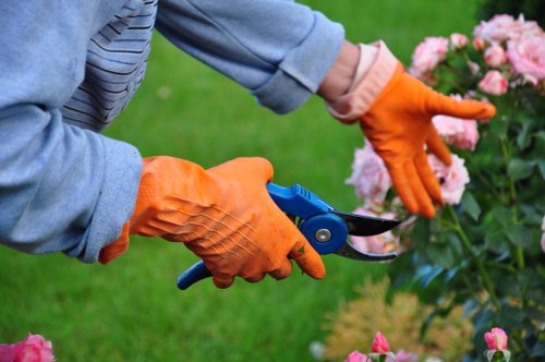 Eco-friendly garden features in Acton