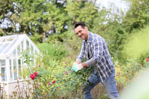 Autumn garden cleanup in Acton